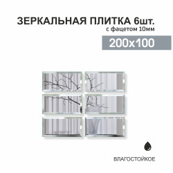 Зеркальная плитка ДЗ-03 (20x10 см) 6шт.